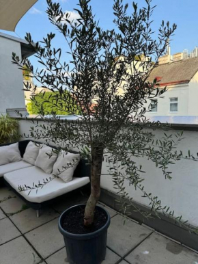 Terrassentraum für 2